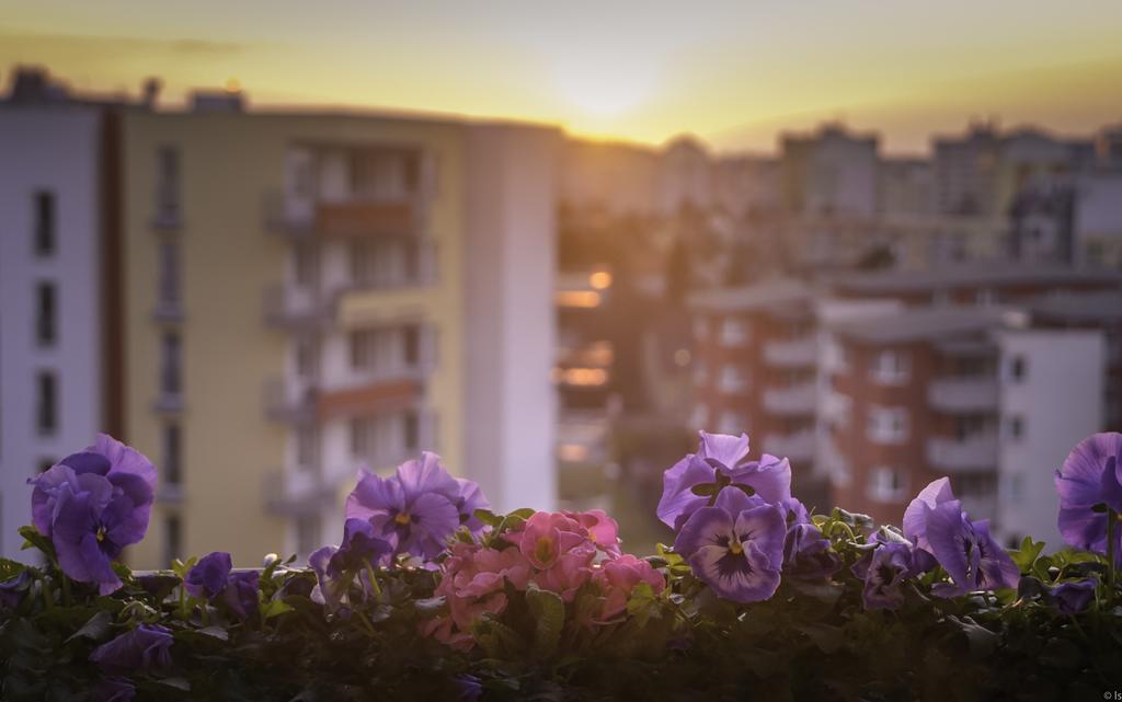 A Nice Place To Stay Apartments Praga Quarto foto
